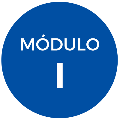 Módulo I
