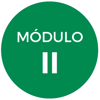 Módulo II