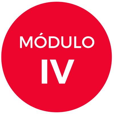 Módulo IV