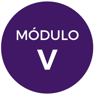 Módulo V